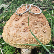 Two silver rings on a mushroom in a natural setting